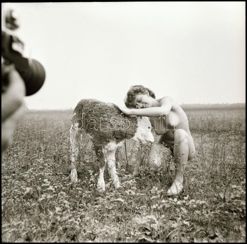 Menesdorfer Lajos (1941-2005) budapesti fotóművész hagyatékából, 11 db vintage NEGATÍV az aktfényképezés műfajából, 6x6 cm - Image 2