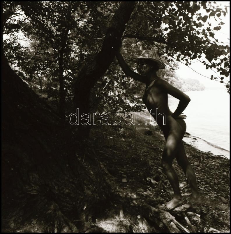 Menesdorfer Lajos (1941-2005) budapesti fotóművész hagyatékából, 11 db vintage NEGATÍV az aktfényképezés műfajából, 6x6 cm - Image 3