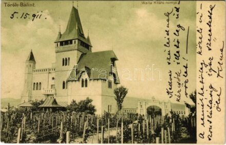 1911 Törökbálint, Walla kilátótornya. Izeli Ferenc kiadása (EK)