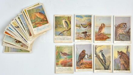 MADARAK - 63 db régi képeslap és főleg nyomtatvány / BIRDS - 63 pre-1950 postcards and mostly non PC cards