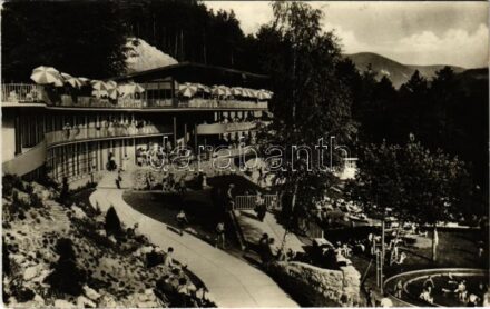 1953 Trencsénteplic, Trencianske Teplice; Kúpalisko 'Zelená zaba' / strand, fürdőzők / spa, bathers (EK)