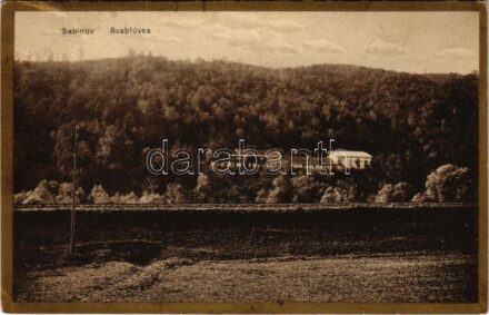 1926 Kisszeben, Sabinov; Svabluvka kénfürdő. Stehr Gusztáv kiadása / Schwefel Bad / sulfur spa, bathing hall (Rb)