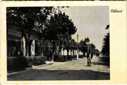 1941 Hódság, Odzaci; König Alexander Gasse / utca, üzlet / street view, shop (vágott / cut)