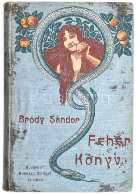 Bródy Sándor: Fehér könyv. VI. 1900. junius. Bp., 1900, Szerzői kiadás,Révai és Salamon-ny., 156+1 p. Kiadói festett, illusztrált egészvászon-kötés, Leszik-kötés, foltos, kopott borítóval, hiányzó címlappal.