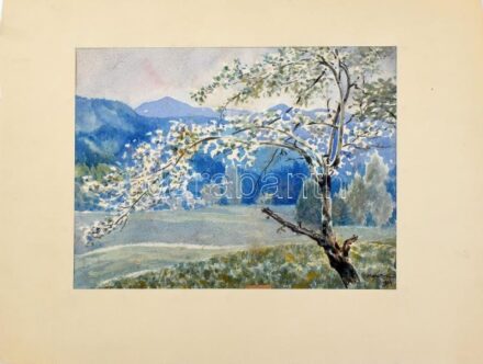Monori Kovács Jenő (?-?): Hegyvidéki táj, 1924. Akvarell, papír, jelzett, paszpartuban, 22×29,5 cm