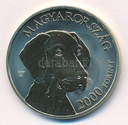 2019. 2000Ft Cu-Ni-Zn 'Magyar vizsla' MNB tájékoztatóval T:P Adamo EM387