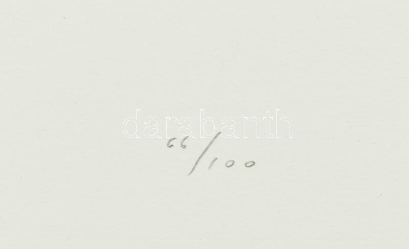 Székely Pierre (1923-2001): Nőstény oroszlán. Színes litográfia, papír, jelzett, számozott (66/100). Az 1982-ben megjelent Kőcirkusz mappából. Lapméret: 70×50 cm / Pierre Szekely (1923-2001): Lion. Lithography, paper, signed and - Image 3