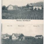 Révfülöp, Ódor, Burján, Saáry és Herceg villa, szőlőskert. Gross Simon kiadása