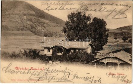 1899 (Vorläufer) Kassa, Kosice; Lajos-forrás. Szent-Istványi Júlia kiadása / spa, spring source