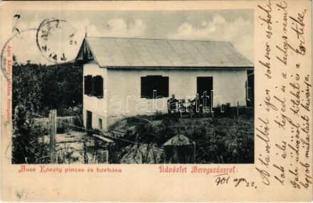 1901 Beregszász, Berehove, Berehovo; Auer Károly pince és borháza és saját kiadása / wine cellar and winery