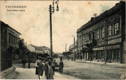 Nagykároly, Carei; Széchenyi utca, Weiszmann Jakab üzlete, drogéria (gyógyszertár). W.L. Bp. 1896. Eigner Simon kiadása / street view, shops, pharmacy (fl)