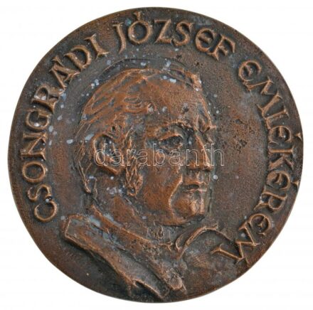 DN 'Csongrádi József emlékérem' egyoldalas, öntött bronz emlékérem (86mm) T:2 fo.