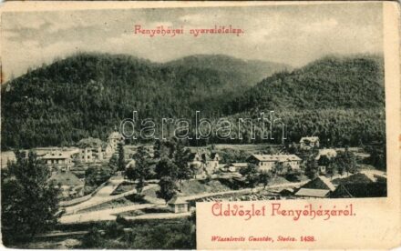 1905 Fenyőháza, Lubochna; nyaralótelep. Wlaszlovits Gusztáv kiadása / villas (EK)