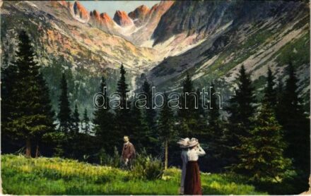 1918 Tátra, Magas-Tátra, Vysoké Tatry; Részlet a felkai völgyből a Ferenc József csúccsal / Partie im Felkaer Tal mit Franz-Josef-Spitze / valley, mountain peak (EK)
