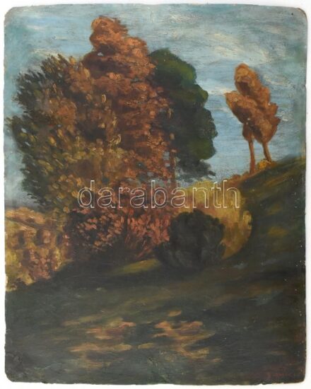 Börcsök S jelzéssel: Táj. Olaj, karton, sérült, 66x52 cm