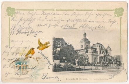 1899 (Vorläufer) Brassó, Kronstadt, Brasov; Villa Schuller. Szecessziós litho keret madarakkal / villa. Art Nouveau litho frame with birds (kis szakadás / small tear)
