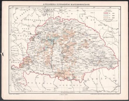 cca 1900 Filoxera elterjedése Magyarországon, Pallas Nagy Lexikona, szélén szakadásokkal, 24×30 cm