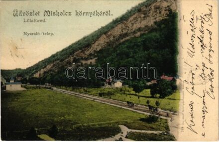 1900 Lillafüred (Miskolc), nyaralótelep, villák. Kiadja Lövy József fia 768. (EB)