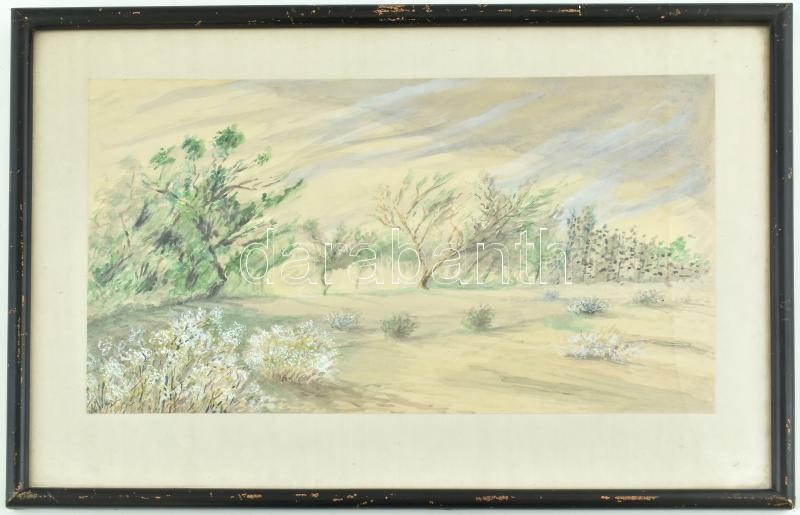 Olvashatatlan jelzéssel: Felhős táj. Akvarell, papír. Üvegezett, kissé sérült fa keretben. 22,5x38 cm
