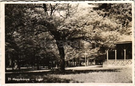 1943 Nagybánya, Baia Mare; liget / park