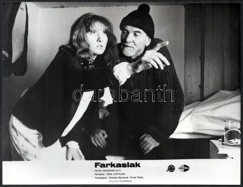 1986 Farkaslak című csehszlovák sci-fi film jelenetei, 7 db produkciós filmfotó, 18x24 cm - Image 4