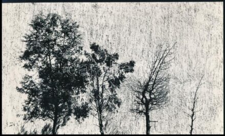 1965 Horváth Lajos feliratozott vintage fotóművészeti alkotása, 14,3x24 cm