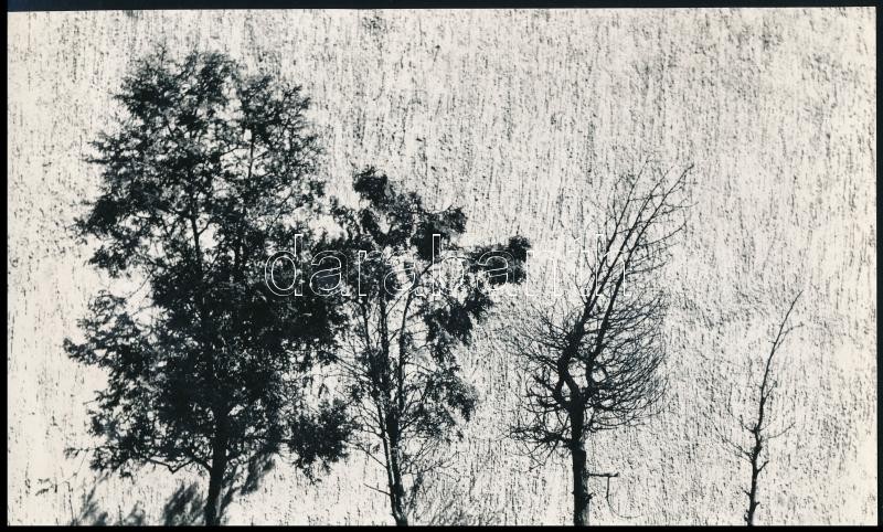 1965 Horváth Lajos feliratozott vintage fotóművészeti alkotása, 14,3x24 cm