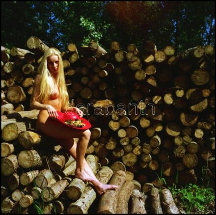 cca 1993 előtt készült felvételek, Menesdorfer Lajos (1941-2005) budapesti fotóművész hagyatékából, 13 db jelzés nélküli vintage fotó és/vagy NEGATÍV az aktfényképezés műfajából, a papírképek és a negatívok között nincs