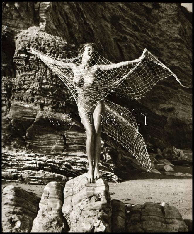 cca 1940 előtt készült aktfelvételek, Fekete György (1904-1990) budapesti fényképész gyűjteményéből 3 db NEGATÍV, 4,6x3,7 cm - Image 2