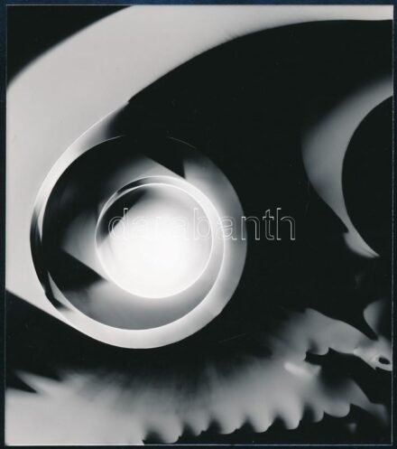 Dr. Sevcsik Jenő (1899-1996) fényképész, szaktanár, szakíró gyűjteményéből, 1 db vintage fotó (fotogram) jelzés nélkül, 13x11,4 cm