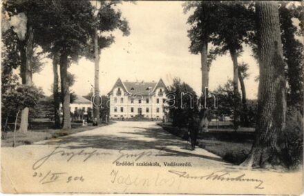 1904 Temesvár, Timisoara; Erdőőri szakiskola, Vadászerdő / forestry school (ragasztónyom / gluemark)