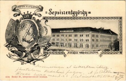 1905 Sepsiszentgyörgy, Sfantu Gheorghe; Legyen világosság! Székely Mikó Kollégium. Címeres szecessziós lap / boarding school. Art Nouveau, floral, coat of arms (EK)