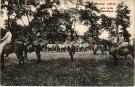 1912 Dad, Daád; Cs. és kir. csikótelep. Fodor Sándor kiadása (EK)