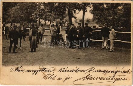 1900 Austro-Hungarian K.u.K. military, officers (EK)