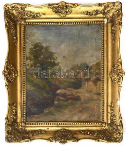 Török ... 1924 jelzéssel: Tájkép. Olaj, karton, sérült fakeretben, 37x29cm.