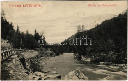 1910 Lupény, Lupeni; Részlet a Szurduk szorosból. Joánovits János kiadása / gorge