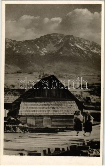 Borsa (Máramarosi Kárpátok), Horthy Miklós csúcs / mountain (EK)