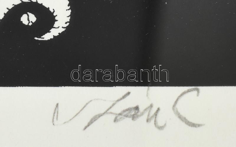 Szász Endre (1926-2003): Irodalmár. Szitanyomat A/P, papír, jelzett, üvegezett alumínium keretben 30×42 cm - Image 2