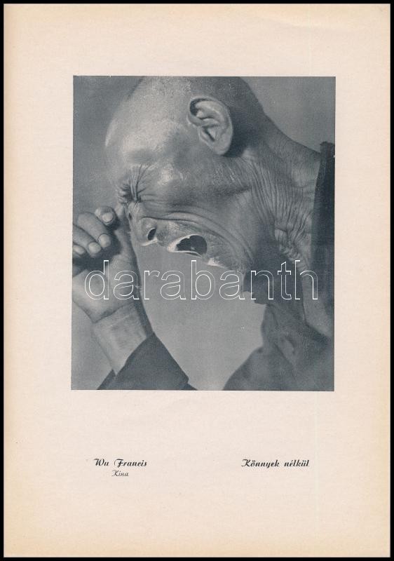 Magyar Amatőr Művészfényképezők Országos Szövetsége IX: Nemzetközi Kiállításának Katalógusa. 1947. Bp., Hollóssy nyomda. Kiadói papírkötésben - Image 2