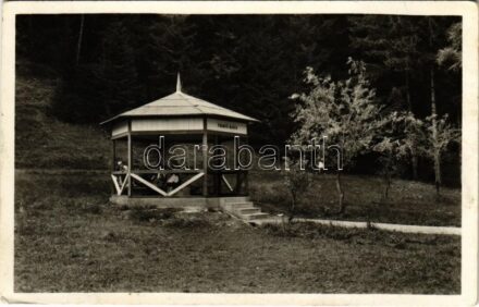 Lucski-fürdő, Lúcky Kúpele (Liptó); Pramen Maria / Mária-forrás / spa, spring source (fl)