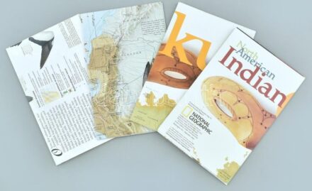 Inkák, költöző madarak, stb., 4 db National Geographic plakát, hajtott