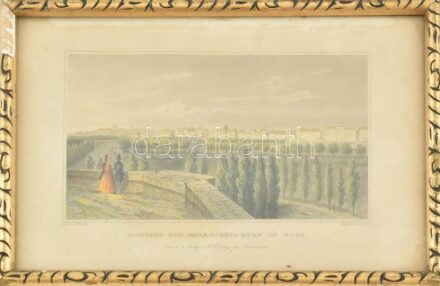 cca 1840 Bécs, Paradiesengarten színezett acélmetszet üvegezett keretben 17x10 cm