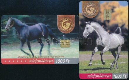2001-2003 MATÁV lovas telefonkártyák, 2 db klf, benne 2000 példányos ritkaság is, jó állapotban