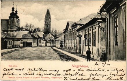 1905 Nagybánya, Baia Mare; Rák utca, Fallemberg M. üzlete. Kovács Gyula kiadása / street view, shop of Fallemberg + 'NAGY-BÁNYA - SZATMÁR 111. SZ.' vasúti mozgóposta bélyegző