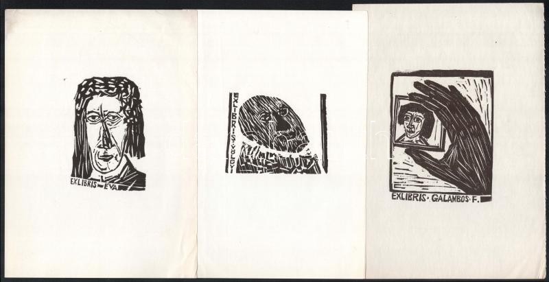 13 db különféle technikájú külföldi és magyar ex libris / 13 ex libris bookplates. Different technique - Image 2