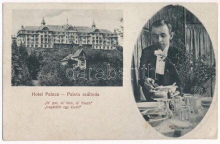 Tátralomnic, Tatranská Lomnica (Tátra, Magas-Tátra, Vysoké Tatry); Palota szálloda 'Legalább egy kicsit', pincér, Tiszti üdülőtelep / Is' gut, is' fein, is' frisch / hotel with waiter (fl)