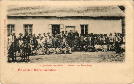 Máramaros, Maramures; gőzfűrész munkásai. Mayer és Berger kiadása / Arbeiter der Dampfsäge / sawmill workers (EK)