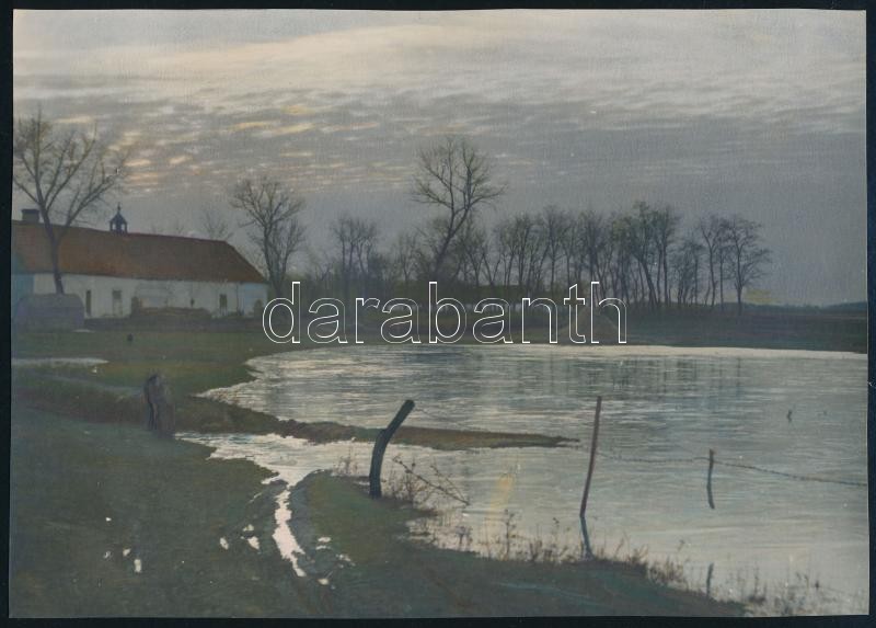 cca 1920-1930 Ökrös szekér és falurészlet, 2 db kézzel színezett fotó, 17×23 és 16×22 cm