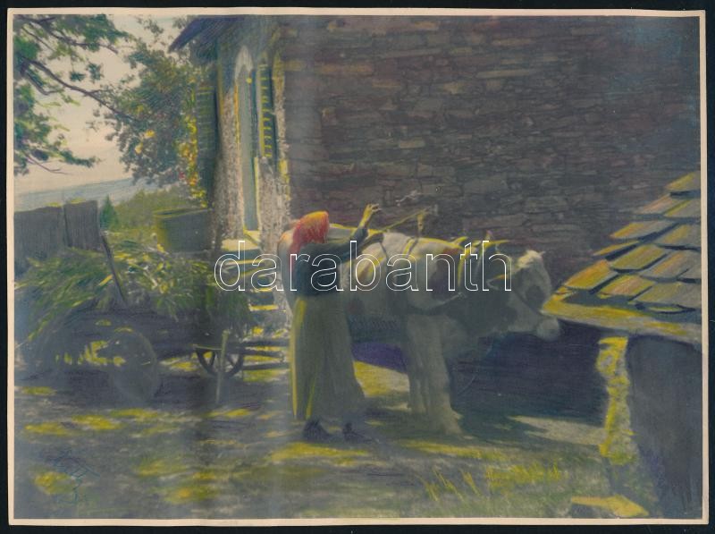 cca 1920-1930 Ökrös szekér és falurészlet, 2 db kézzel színezett fotó, 17×23 és 16×22 cm - Image 2