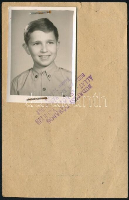 1964 Bérletjegy Budapest Főváros Állat- és Növénykertjébe